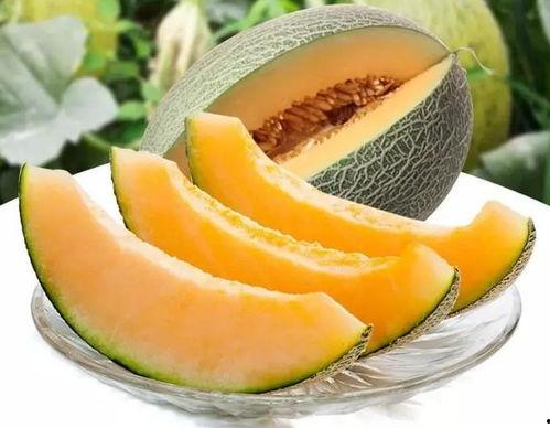 吃瓜联合会,揭秘娱乐圈幕后故事，带你走进明星真实生活