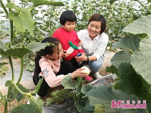 金乡视频吃瓜后续,真相大白，网友热议不断