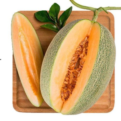 吃瓜蜜瓜头像图片大全可爱