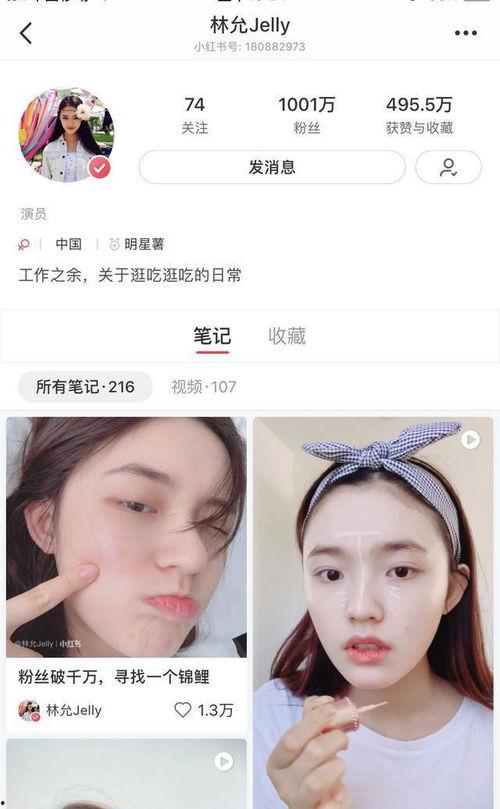 小红书吃瓜er,揭秘网红圈背后的故事