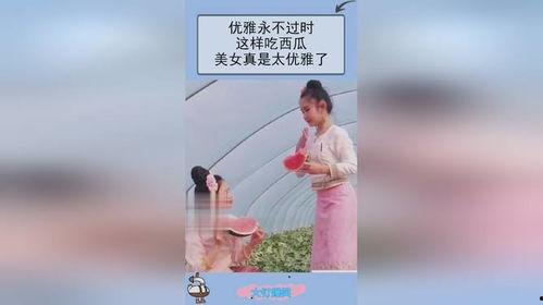 吃瓜优雅永不过时,优雅品味生活永恒之选