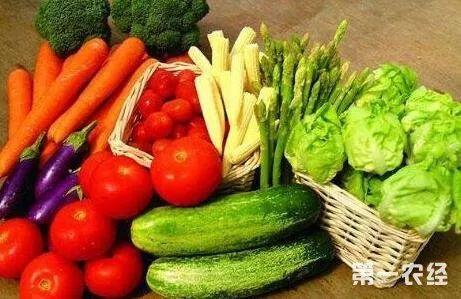 小毛瓜怎么吃美食,创意吃法，美味无限