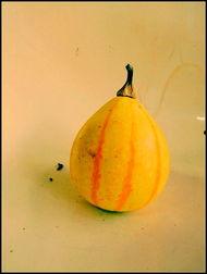 新沂事件吃瓜,揭秘背后真相，吃瓜群众热议不已