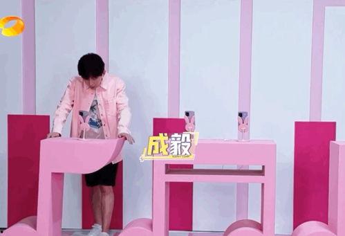 成毅吃瓜答题,揭秘娱乐圈幕后真相