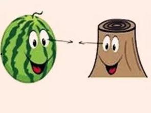 图片有人吃瓜成语,品味成语中的智慧人生