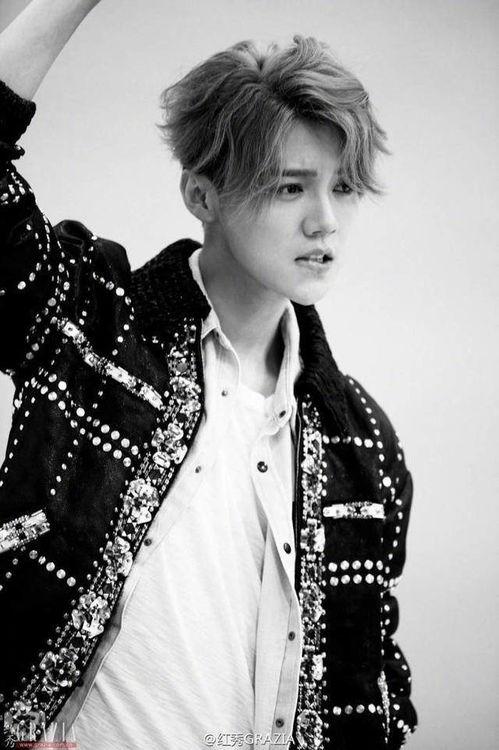 粉丝吃瓜鹿晗,揭秘明星背后的“吃瓜”故事