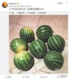 吃瓜看这,吃瓜群众视角下的娱乐圈风云录